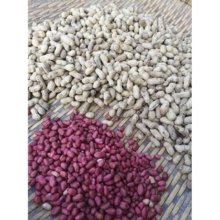 Lạc đỏ [1kg]