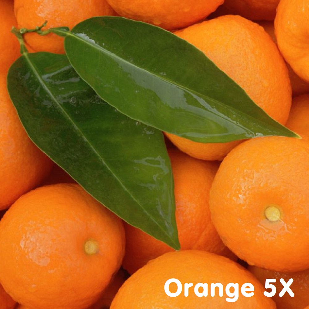 Tinh dầu cam ngọt Sweet Orange 5 Fold Essential Oil (Orange 5X)