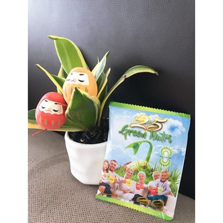 Gói lẻ bột ngũ cốc dinh dưỡng 25 Green Nutri