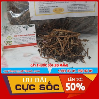 Cây Thuốc Dòi Khô 1Kg _ Hàng Loại 1