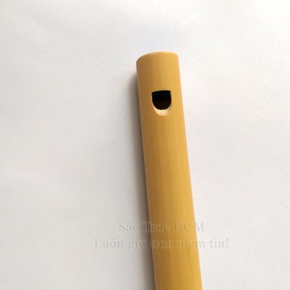 Sáo dọc HCM8
