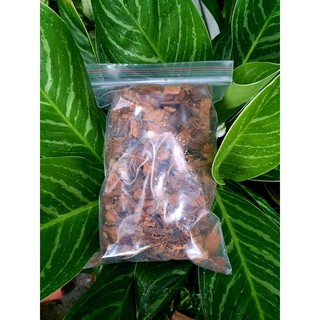 1kg XƠ DỪA CỤC, dừa cắt ĐÃ XỬ LÝ,  GIÁ THỂ TRỒNG CÂY KIỂNG LÁ Trong nhà