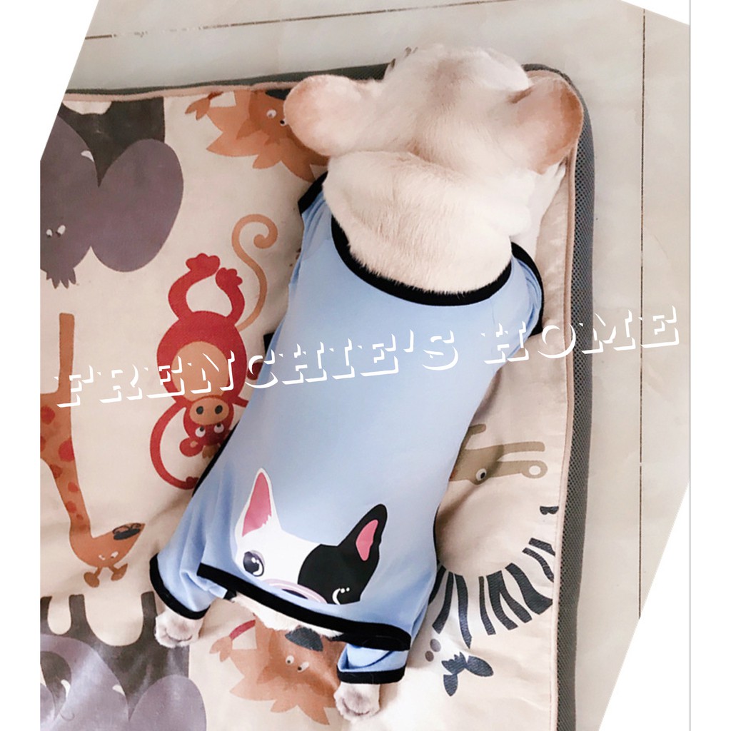 BỘ BODYSUIT "MẶT BULL PHÁP FRENCH BULLDOG HỒNG & XANH" CHO CHÓ BULL/PUG ( FRENCHIE'S BODYSUIT )