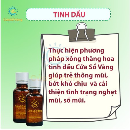 Cửa Sổ Vàng Combo Bảo Vệ Sức Khỏe 1 Thanh Lương Thảo , 1 Tinh Dầu, 1 Thiệt Thanh Thảo