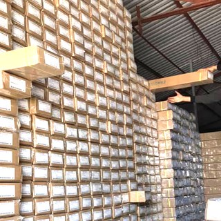 (Màn hình chiếu Loại Xịn Hơn Hẳn Màn Tương Phản Cao) Màn chiếu xem phim hãng Dalite / Apollo