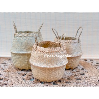 Giỏ Cói Trồng Cây Vintage (Có Quai Xách)