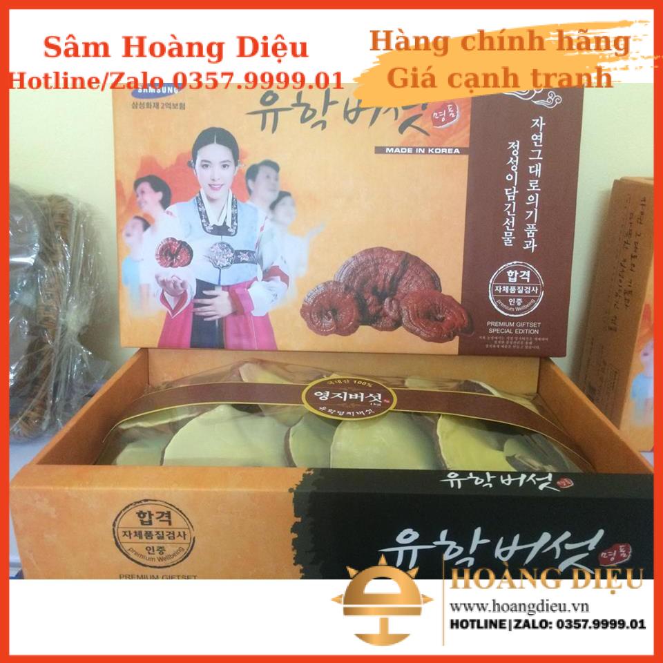 Sâm Hoàng Diệu - Nấm linh chi đỏ Hàn Quốc GEUMSANG Cô gái 1kg