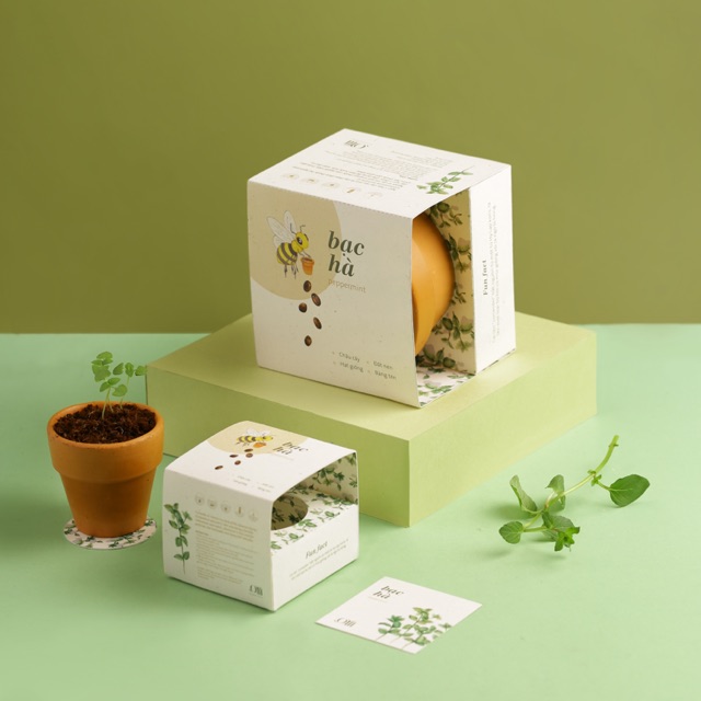 Kit Trồng Cây Mini - Bạc Hà | Plant Kit - Mint