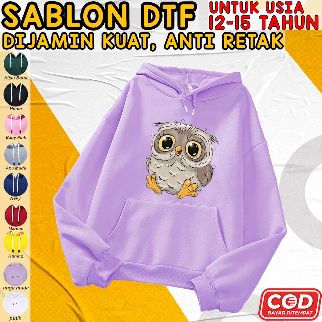 Áo Hoodie In Hình Chim Cú Thời Trang Cho Bé 12 13 10 8 15 11 9 1 2 3 10 12 Tuổi
