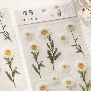 Nhãn dãn sticker hoa 1 Tả Bí Lù Store