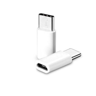 Cổng chuyển đổi Micro USB sang USB Type C