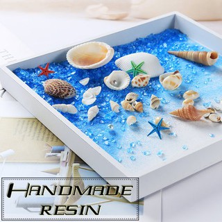 Vỏ ốc xà cừ nhỏ - Phụ kiện trang trí Resin