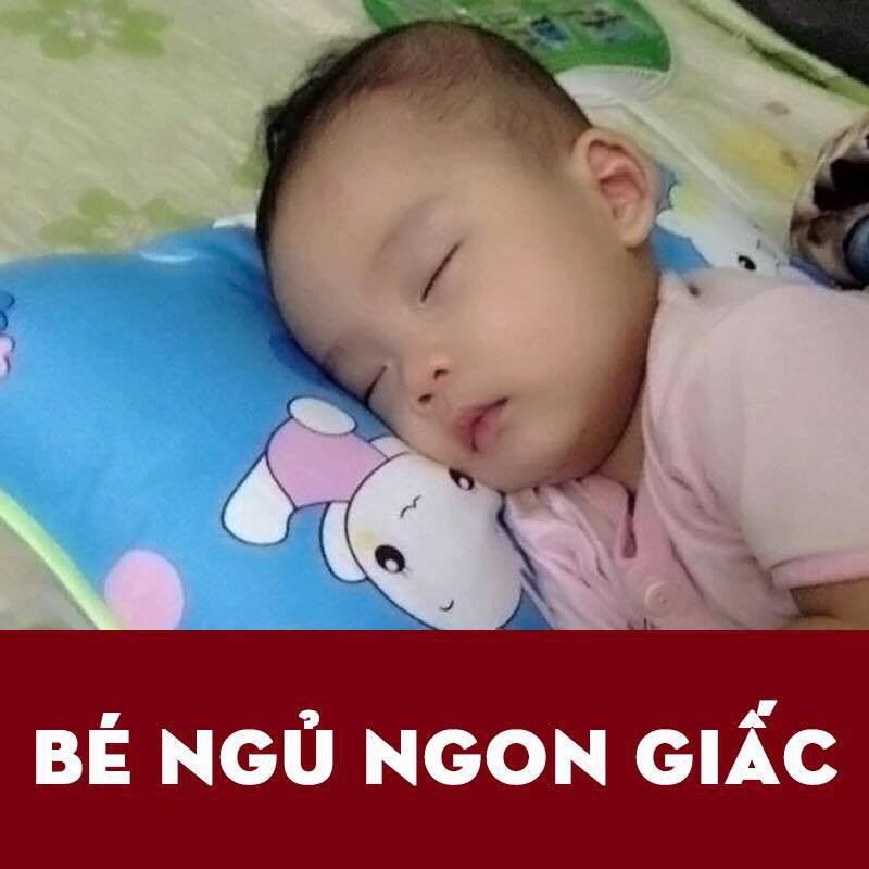 Gối đinh lăng cao cấp cho bé