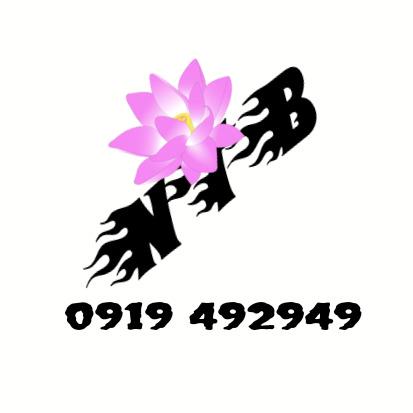 NTB STORE - Tai Nghe Bluetooth