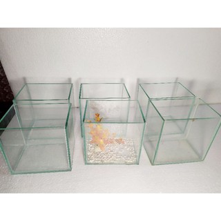 Bể cá mini đẹp. kt 15x12x15