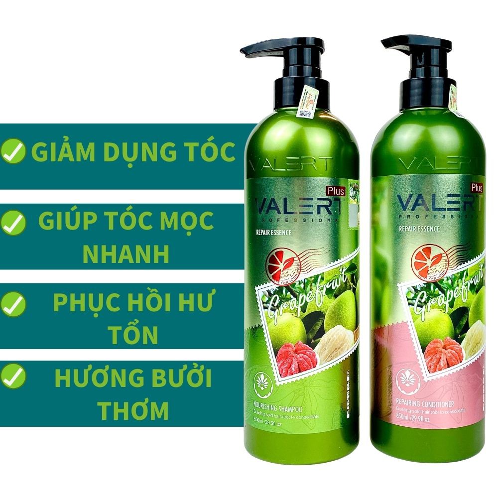 Cặp dầu gội xả bưởi VALERT GRAPEFRUIT PLUS 850ML . Dầu gội bưởi, dầu xả bưởi giảm dụng tóc GX03