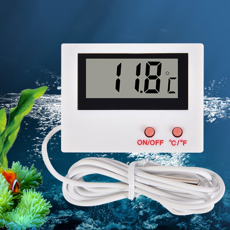 Bể Cá / Thằn Lằn Trong Tủ Lạnh
