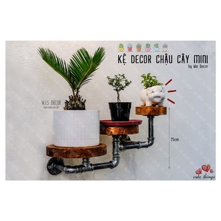 Kệ decor gắn tường để chậu cây mini - kệ gỗ thông phong cách vintage