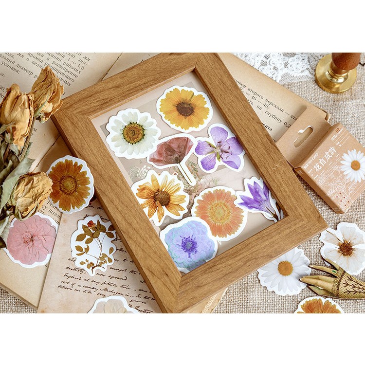 Hộp 46 miếng sticker mẫu hoa cúc trắng