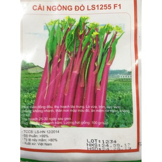 Hạt giống cải ngồng đỏ f1 nhập khẩu- chuyên dụng.