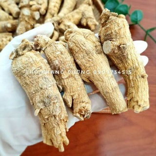 Nhân sâm Hoa Kỳ, Tây dương sâm thượng hạng hỗ trợ miễn dịch, tăng cường sức khỏe