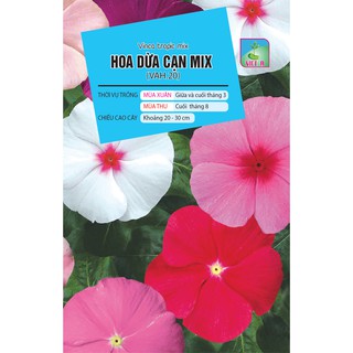 Hạt giống hoa dừa cạn mix – 100 hạt