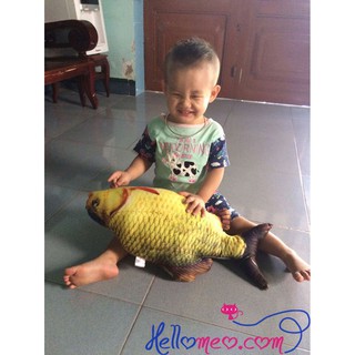 Gấu Bông Cá Chép Cho Bé