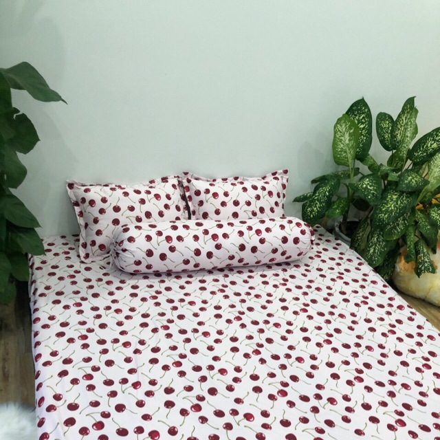 Set ga gối gối ôm