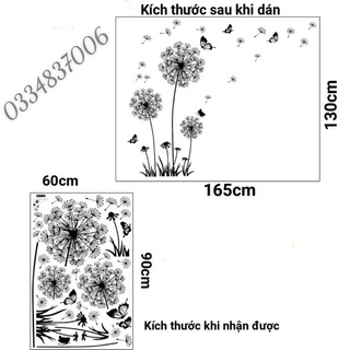 Decal dán tường hoa bồ công anh