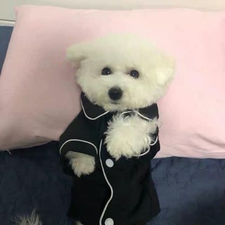 Áo pijama cho chó mèo