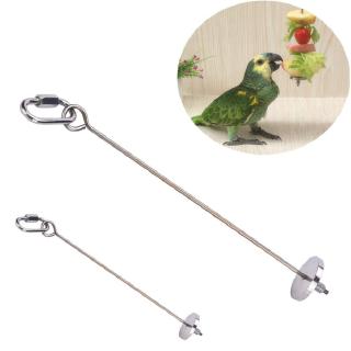 Móc thức ăn treo lồng vẹt bằng thép không gỉ tiện dụng