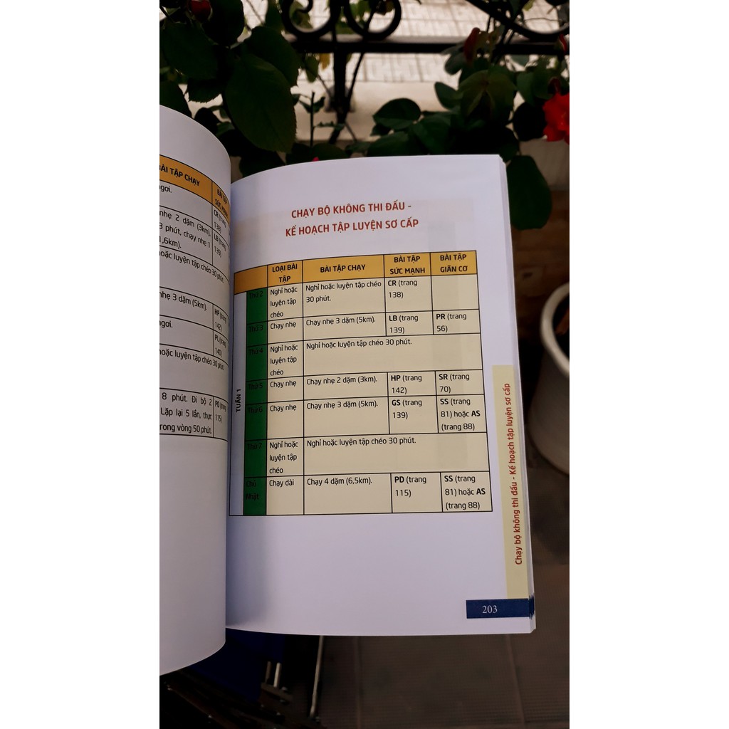Sách - TẬP CHẠY KHÔNG KHÓ - Kế hoạch tập luyện toàn diện cho tốc độ, sức mạnh và sức bền - Pandabooks | BigBuy360 - bigbuy360.vn
