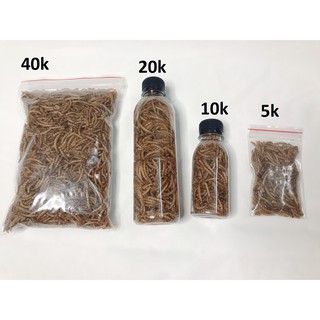 Sâu rang bơ hamster