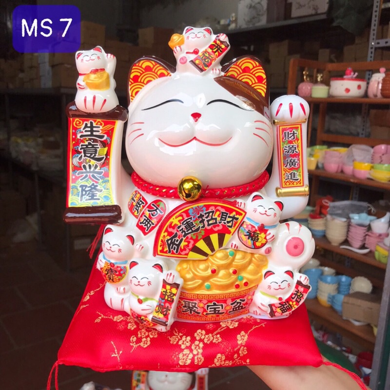 Tổng hợp những mẫu mèo hot nhất hiện nay