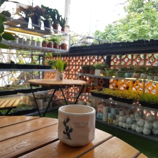 Chậu gốm nhỏ