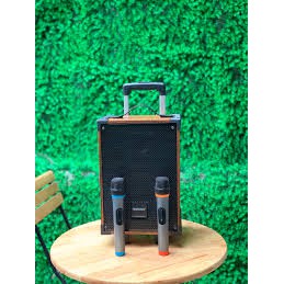 Loa Kéo Karaoke A8-42 - BH 6 Tháng | Loa Di Động Temeisheng A8-42