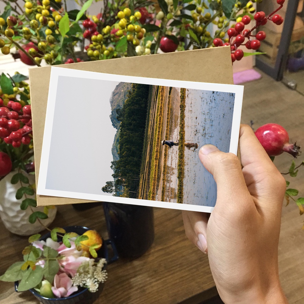 Postcard, Thiệp trang trí, quà tặng lựu niệm chủ đề  Việt Nam - P5, Tặng kèm bì thư giấy Kraft