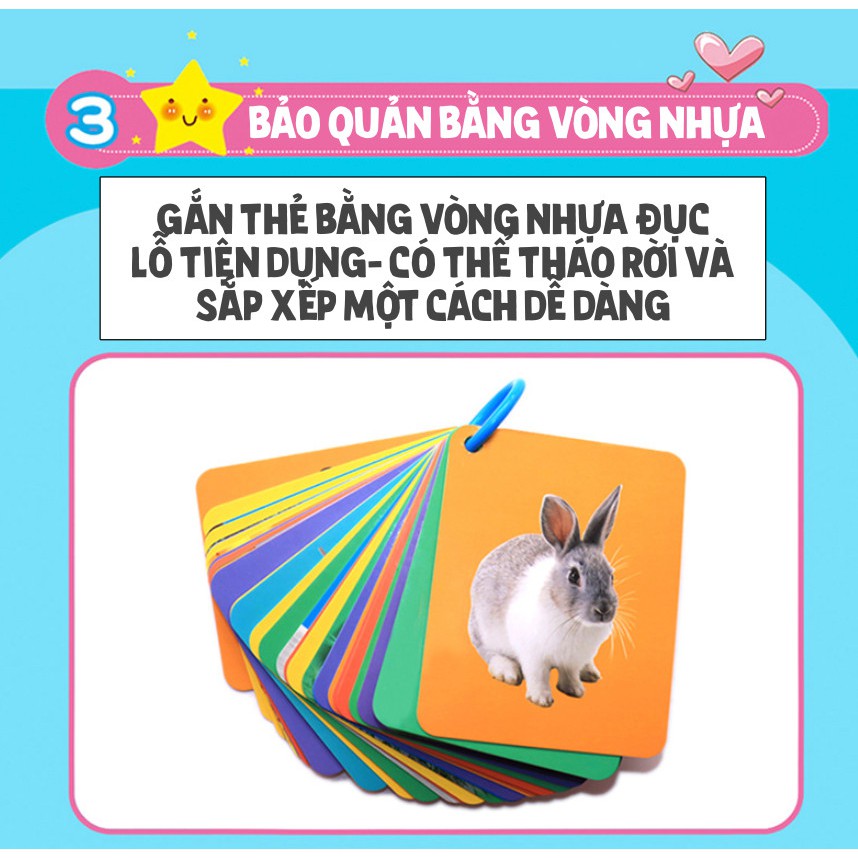 HCM FLASHCARD tô màu thần kỳ tự xoá học song ngữ tiếng Anh tiếng Trung cho bé Bộ thẻ học từ vựng thông minh kèm hình ảnh