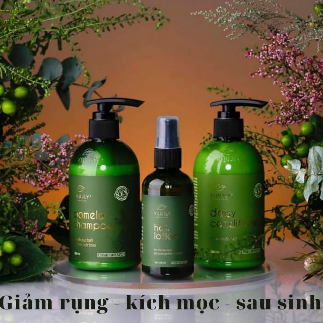 Tinh Dầu Bưởi Vi Jully - Huế