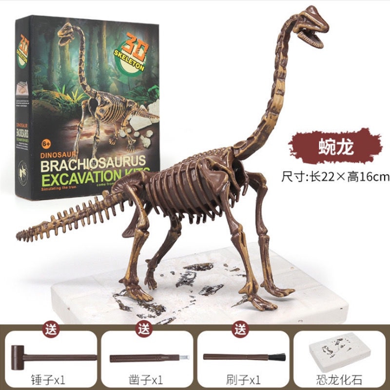 Hóa thạch khủng long trẻ em Mô hình bộ xương Tyrannosaurus rex Sản xuất thủ công DIY của Đồ chơi khai quật khảo cổ học c