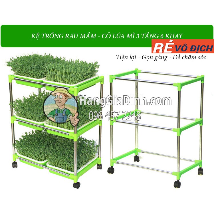 Bộ kệ trồng rau mầm cỏ lúa mì 3 tầng 6 khay khung inox có bánh xe di chuyển
