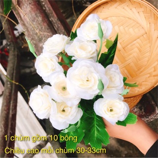 🌠chùm hoa hồng ngâu 5 màu