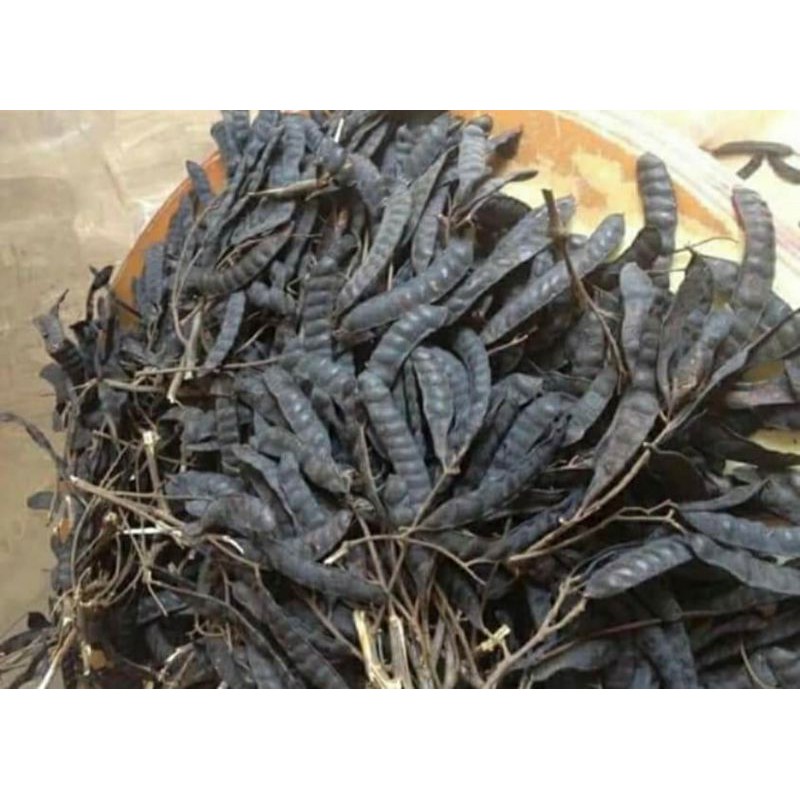 100gr bồ kết khô nguyên quả