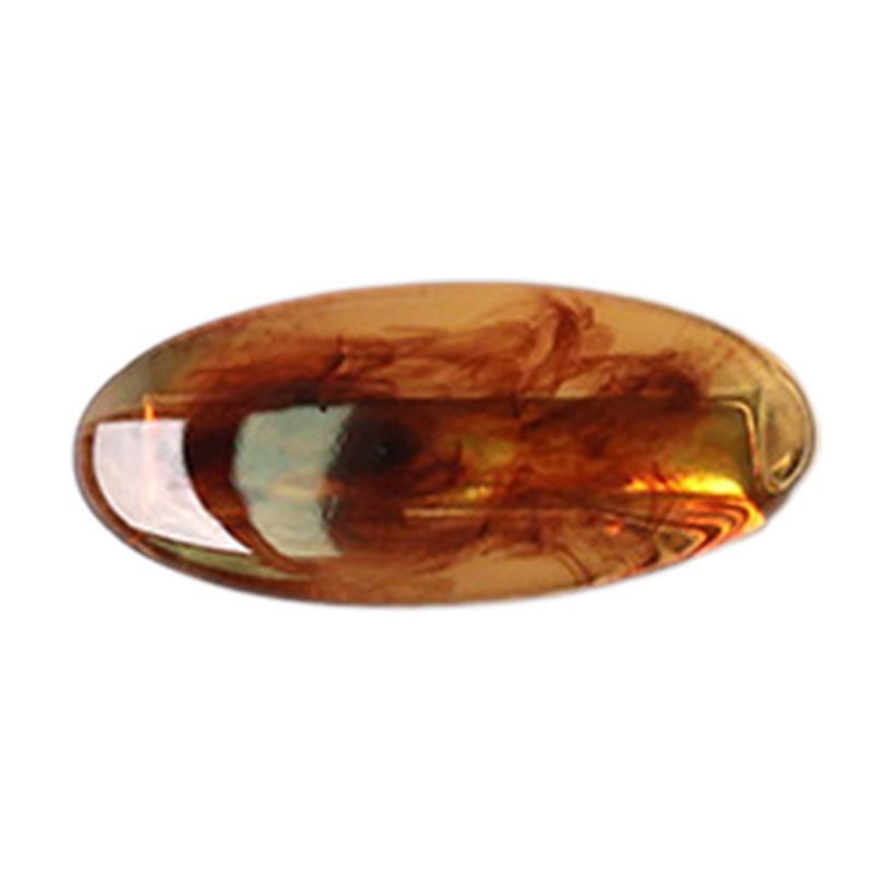 Kẹp Tóc Acrylic Màu Trong Suốt Hình Bầu Dục Thời Trang Cho Nữ