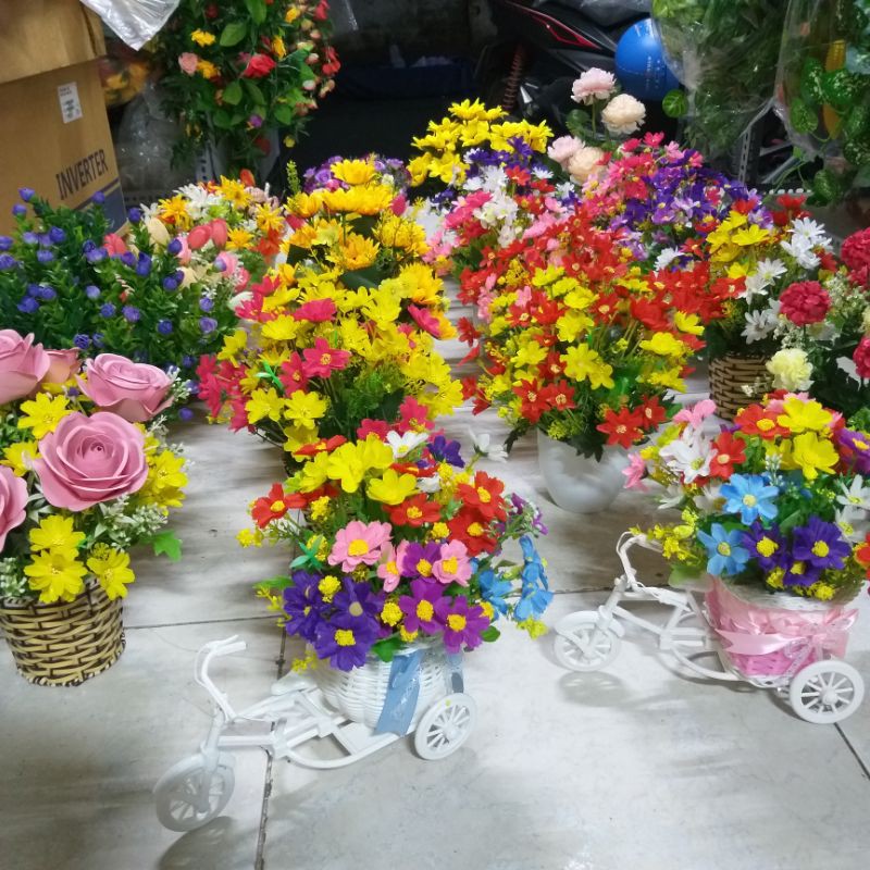combo hoa cúc dại khách Thanh Thảo