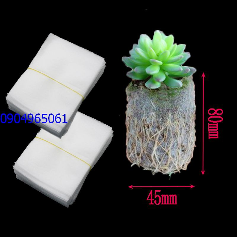 200 chiếc bầu ươm cây tự tiêu