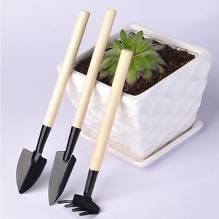 bộ dụng cụ chăm sóc cây cảnh mini