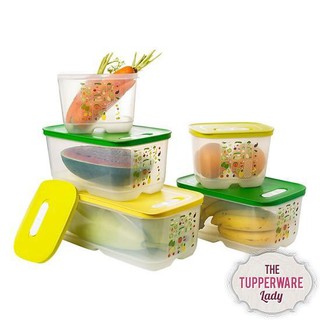 Bộ 5 hộp trữ mát cao cấp Tupperware Ventsmart