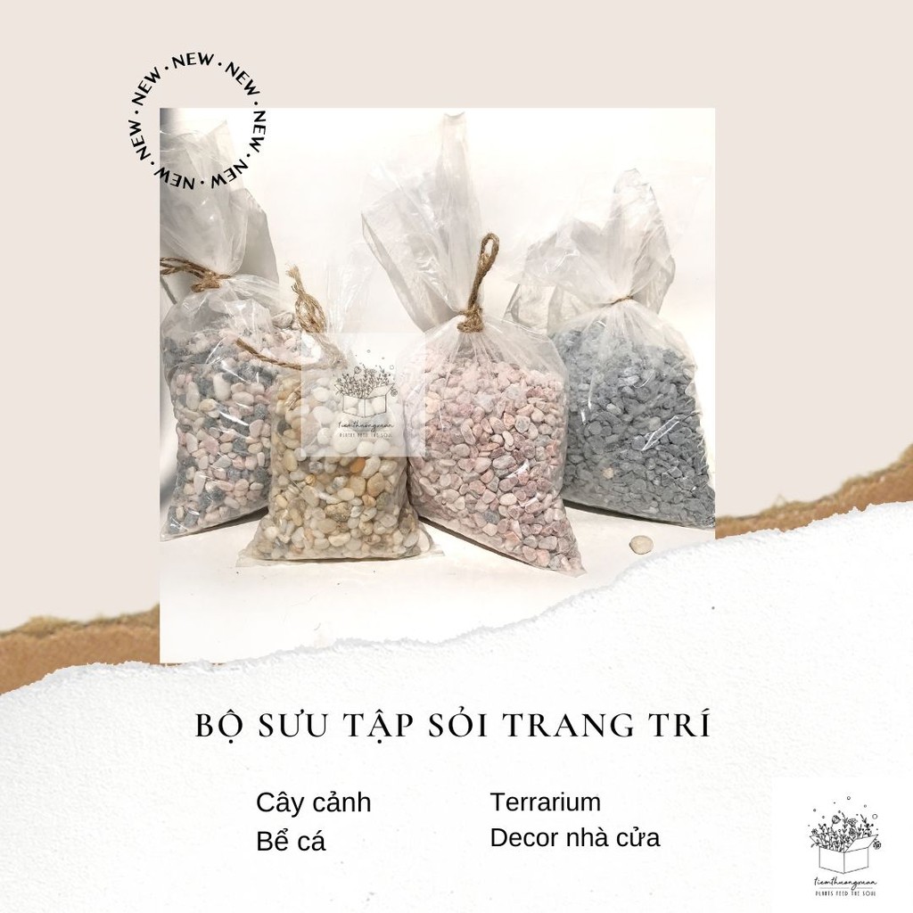 [1kg] Sỏi, sỏi trắng, đen, hồng, vàng, biển, ba màu - Đá rải tiểu cảnh bể cá - Tiệm Thường Xuân