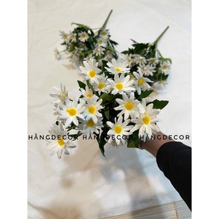 Hoa cúc hoạ mi giả hằng decor